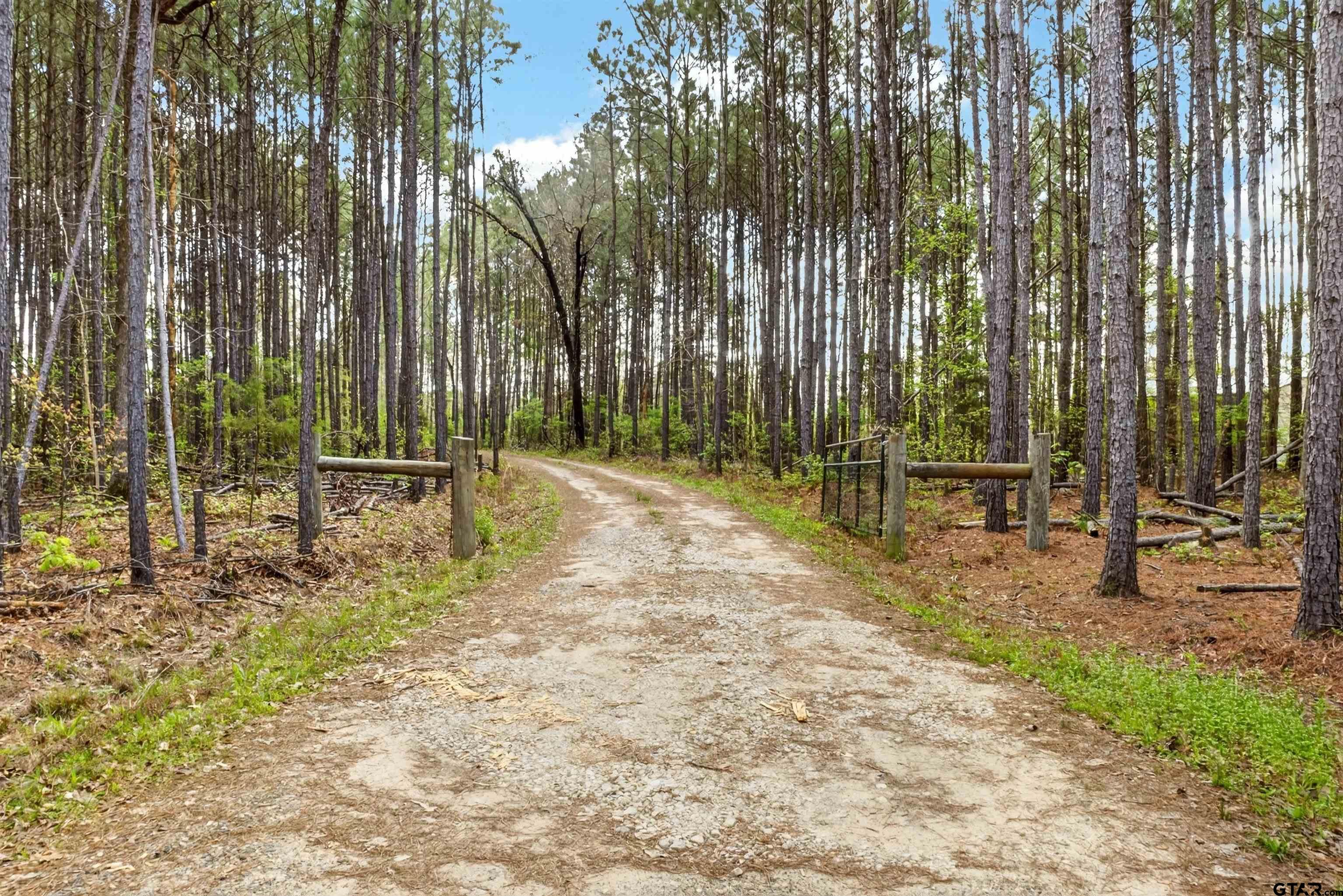 1470 Driskell Bridge Road Harleton, TX 75651 - Photo 27 of 38