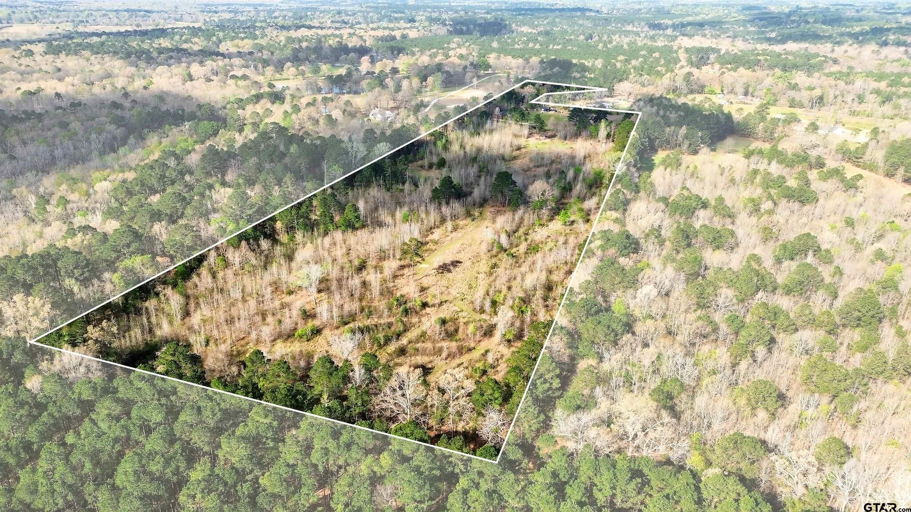 1470 Driskell Bridge Road Harleton, TX 75651 - Photo 29 of 38