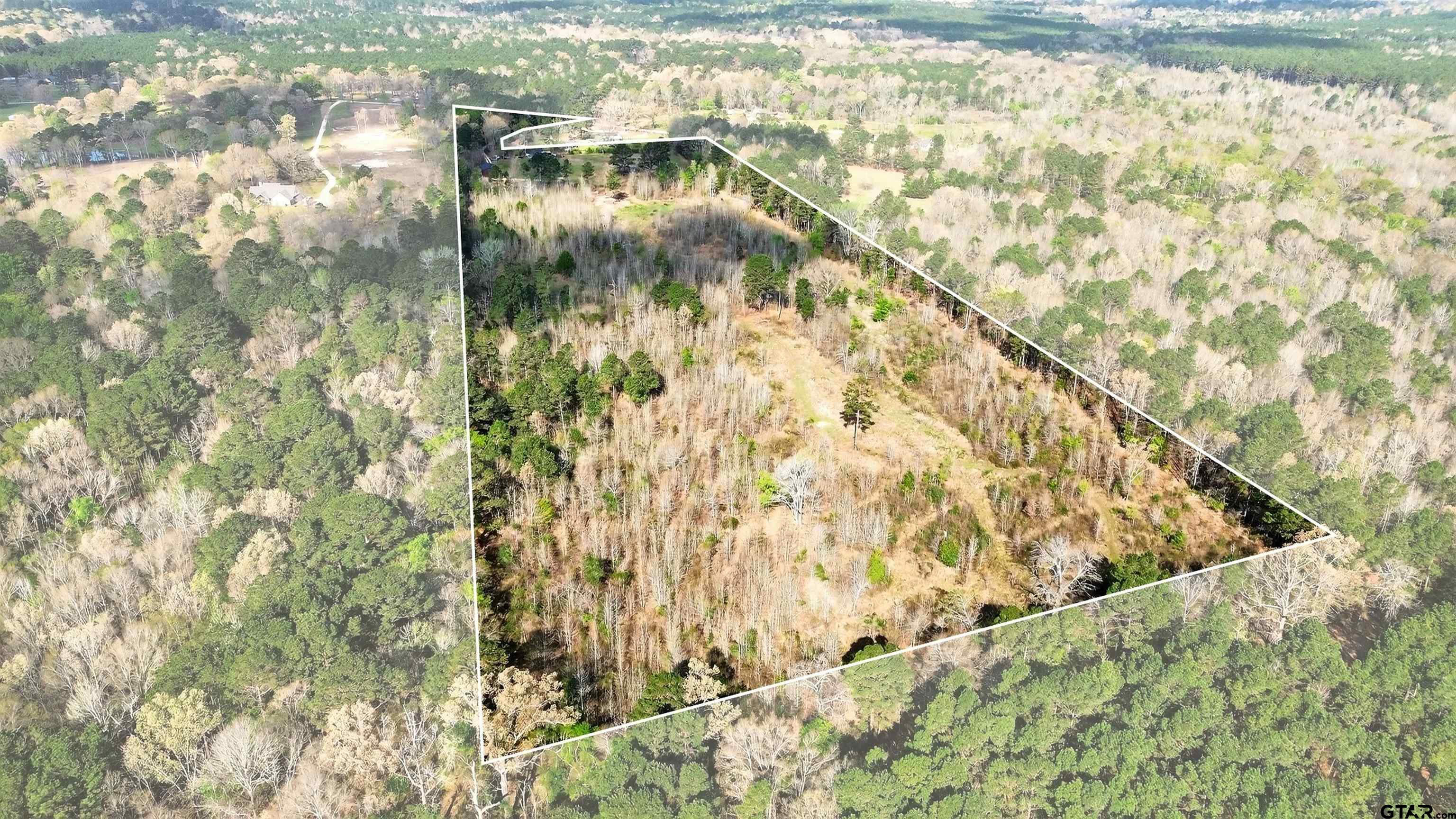 1470 Driskell Bridge Road Harleton, TX 75651 - Photo 30 of 38