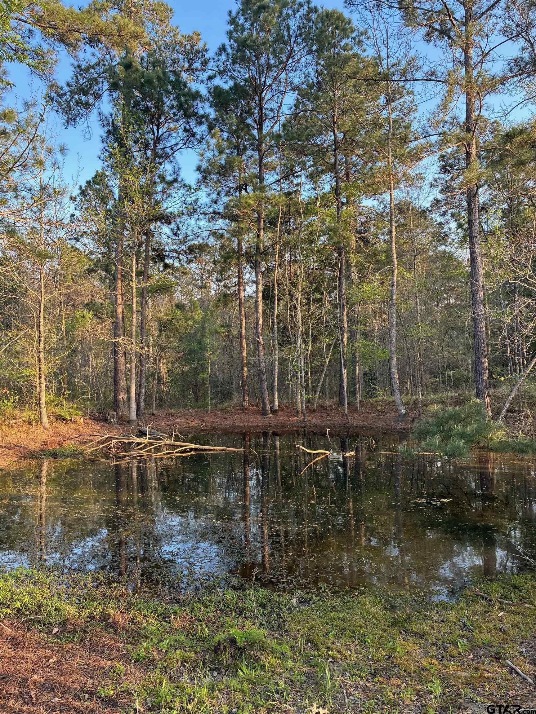 1470 Driskell Bridge Road Harleton, TX 75651 - Photo 33 of 38