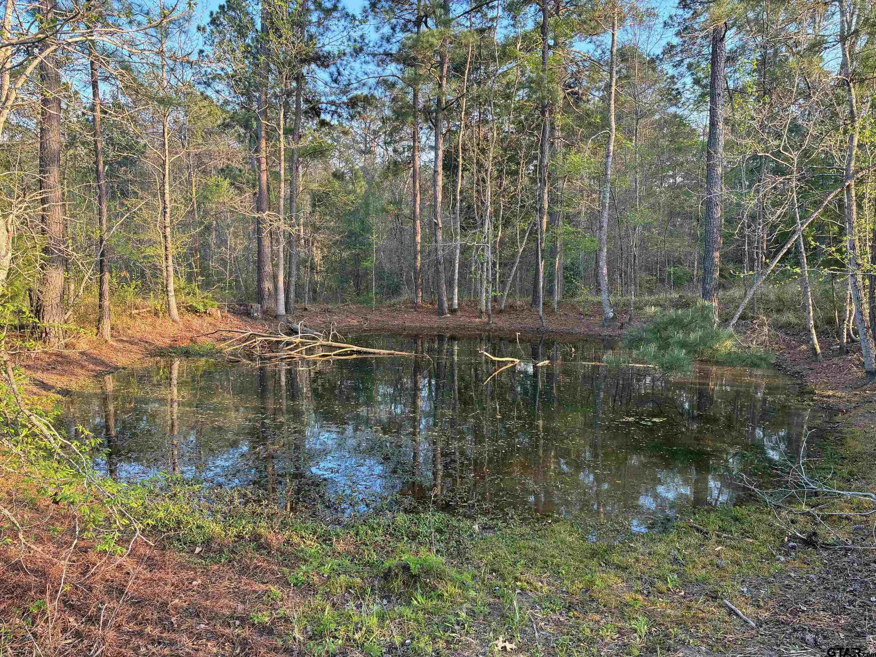 1470 Driskell Bridge Road Harleton, TX 75651 - Photo 34 of 38