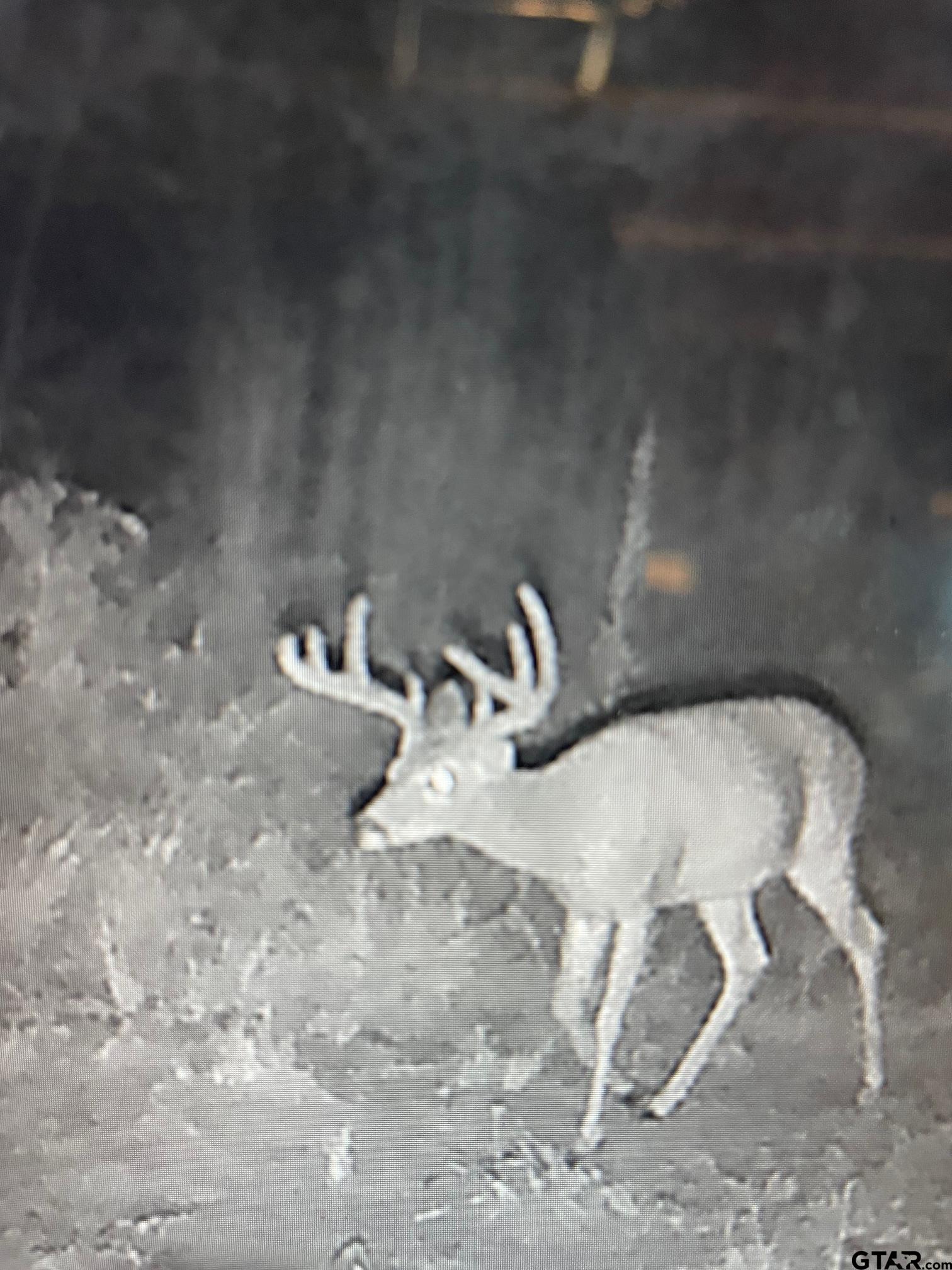 1470 Driskell Bridge Road Harleton, TX 75651 - Photo 35 of 38