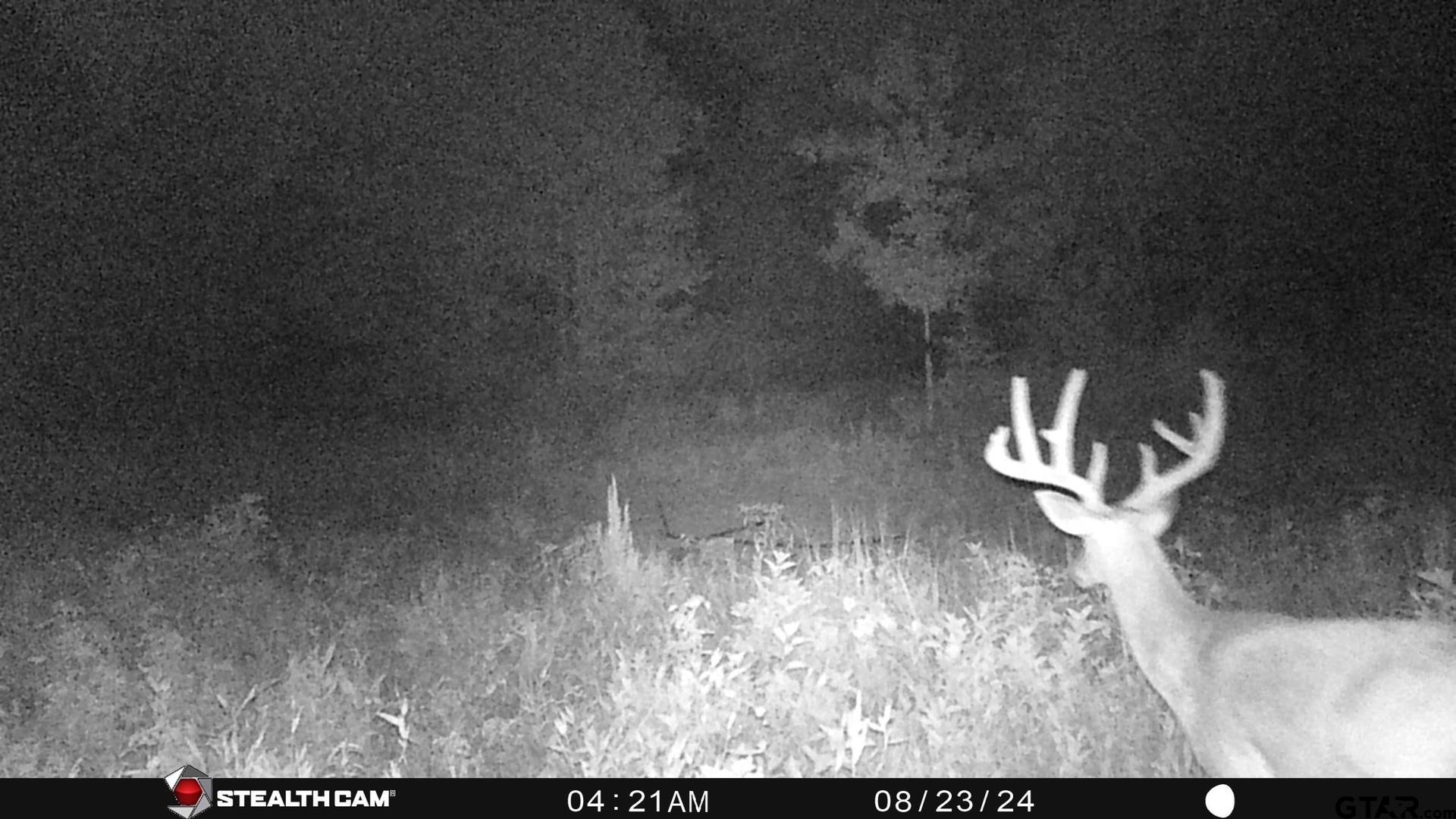 1470 Driskell Bridge Road Harleton, TX 75651 - Photo 37 of 38