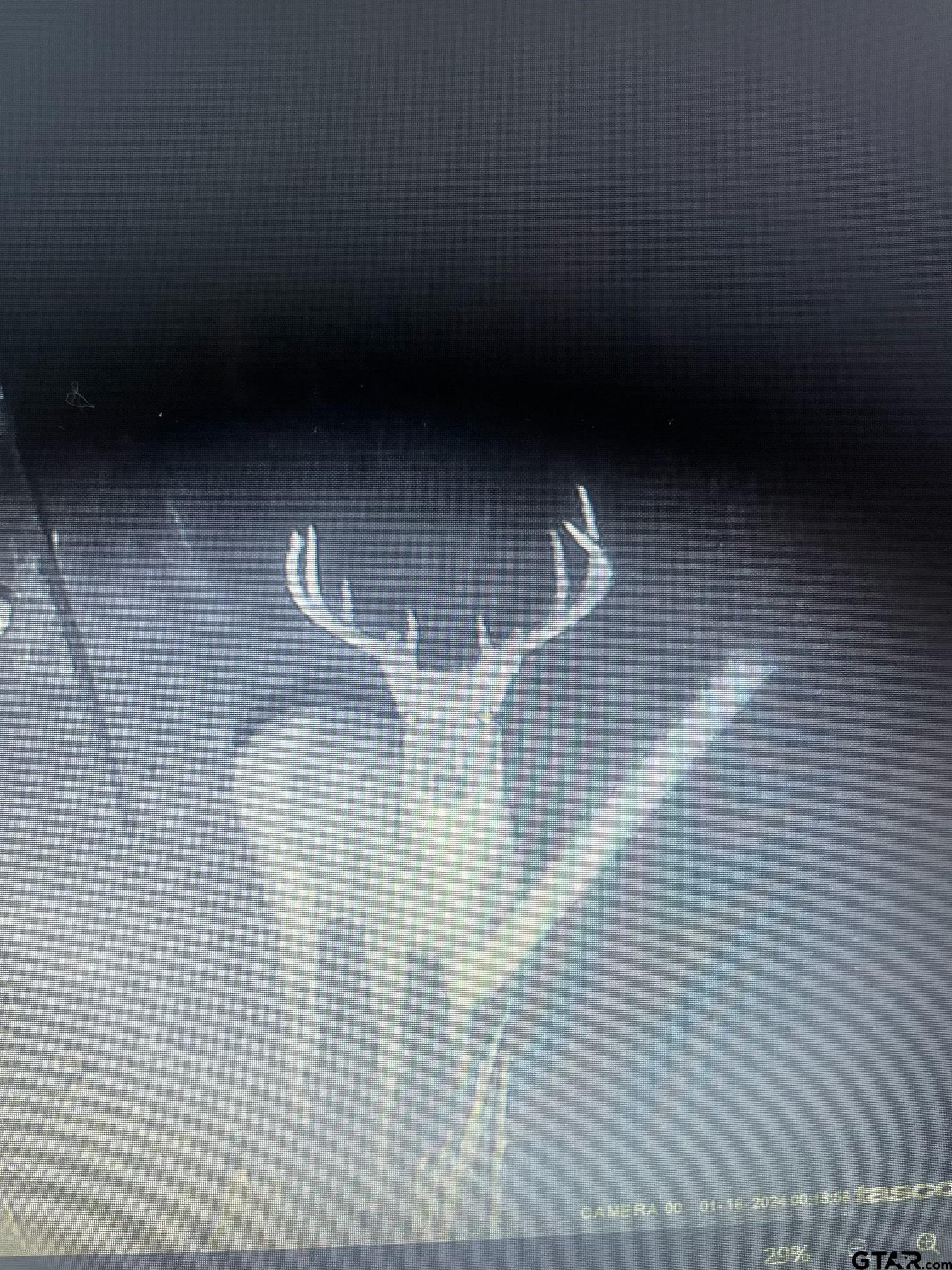 1470 Driskell Bridge Road Harleton, TX 75651 - Photo 38 of 38