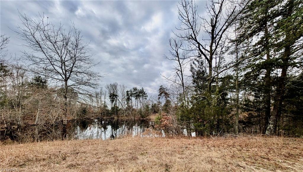 0 Blanchard Road Burlington, NC 27217 - Photo 3 of 7