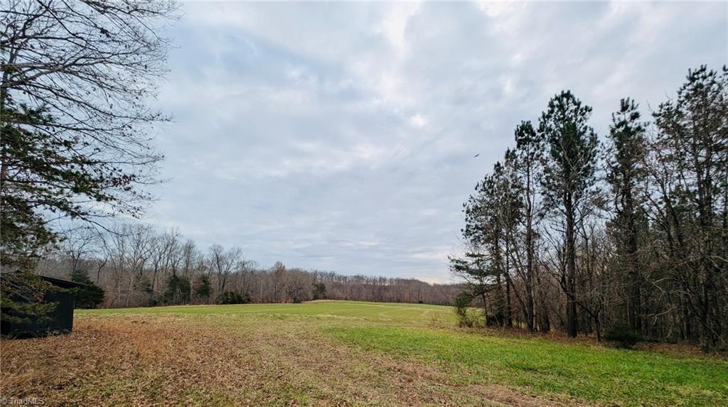 0 Blanchard Road Burlington, NC 27217 - Photo 4 of 7