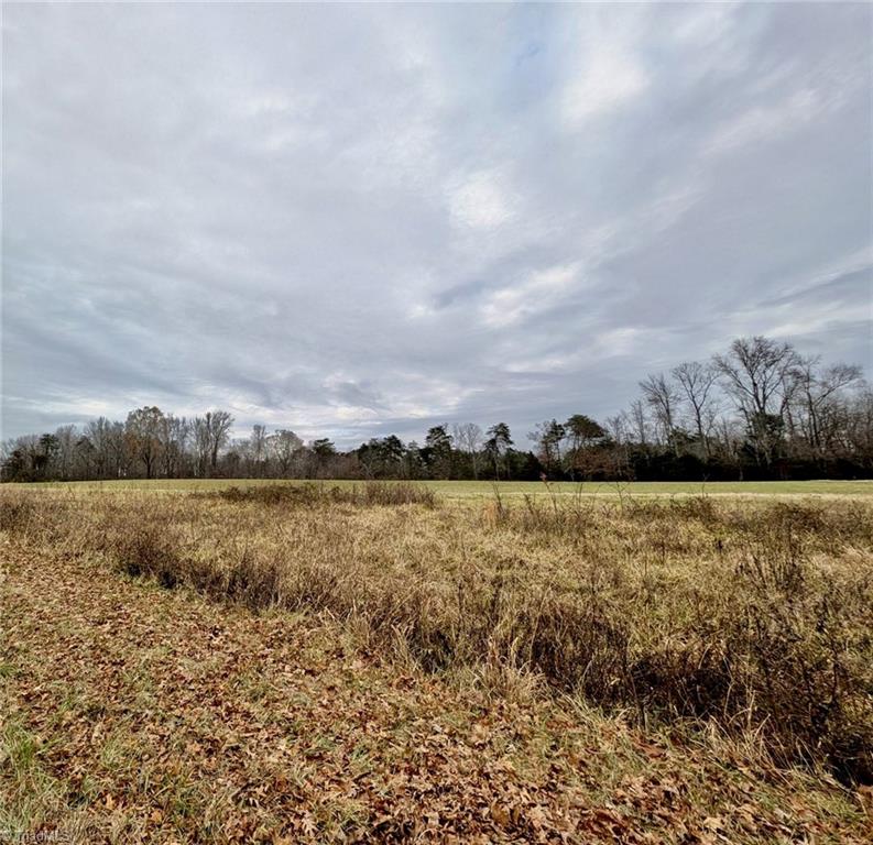 0 Blanchard Road Burlington, NC 27217 - Photo 5 of 7
