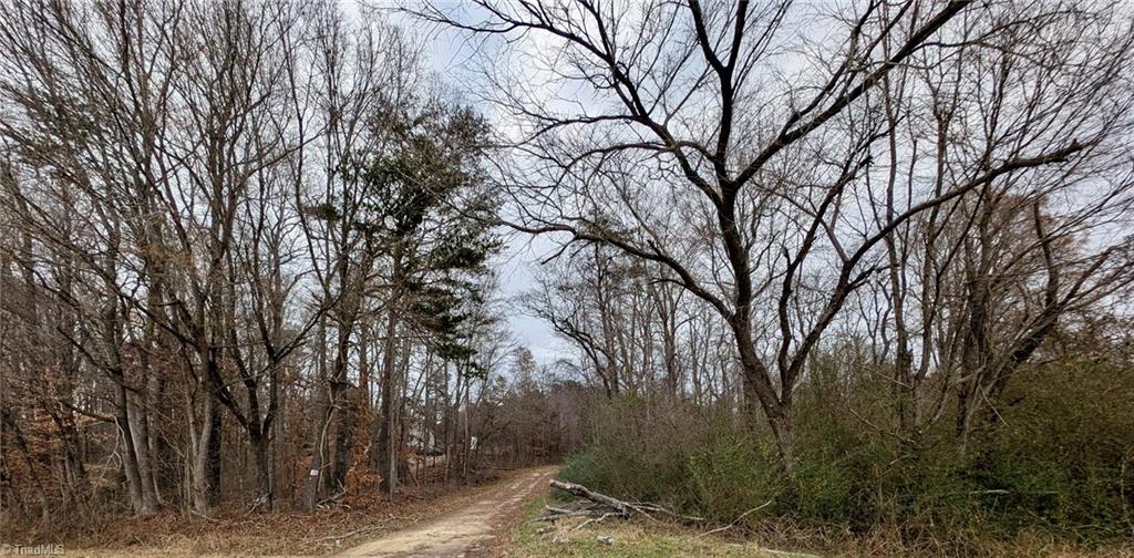 0 Blanchard Road Burlington, NC 27217 - Photo 6 of 7