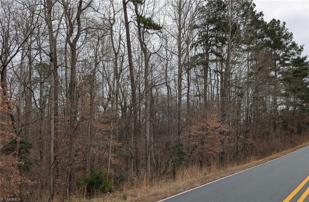 0 Blanchard Road Burlington, NC 27217 - Photo 7 of 7