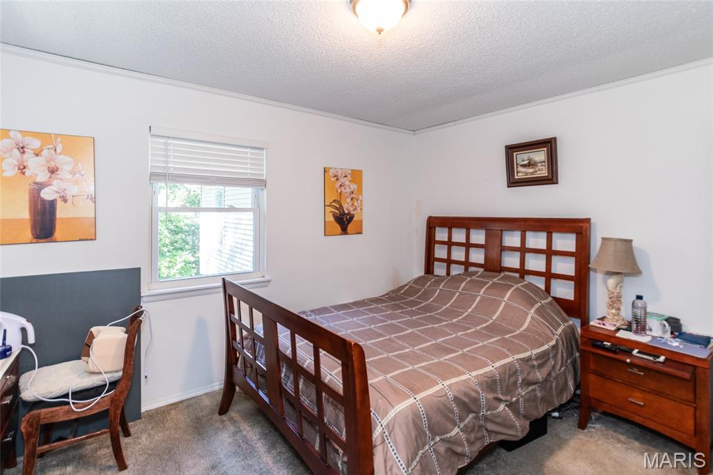 3637 Blecha Road Imperial, MO 63052 - Photo 22 of 34