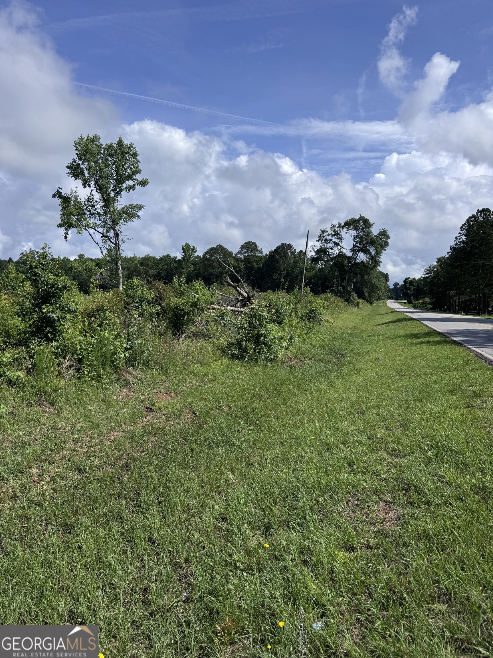 0 Po Biddy Road Thomaston, GA 30286 - Photo 9 of 15