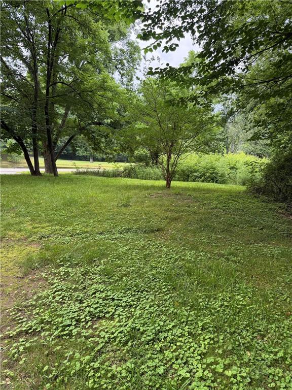 1515 Little Road Canton, GA 30115 - Photo 2 of 16