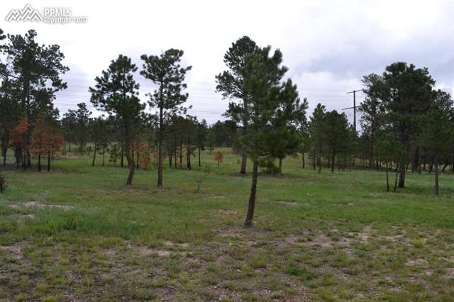 12872 Goodson Road Colorado Springs, CO 80908 - Photo 5 of 31