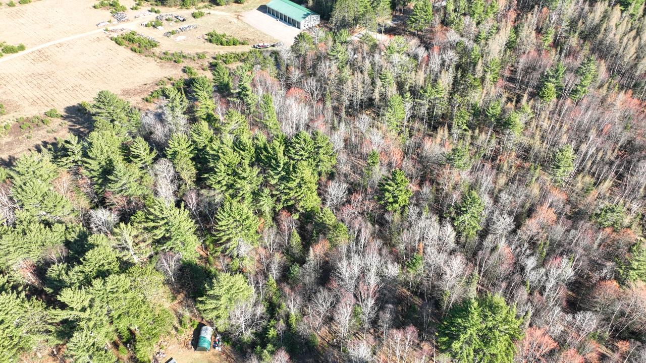 Acres On Watersmeet Lake Road, Unit 20 / Eagle River, WI 54521 - Photo 28 of 31 Gallery Image 28