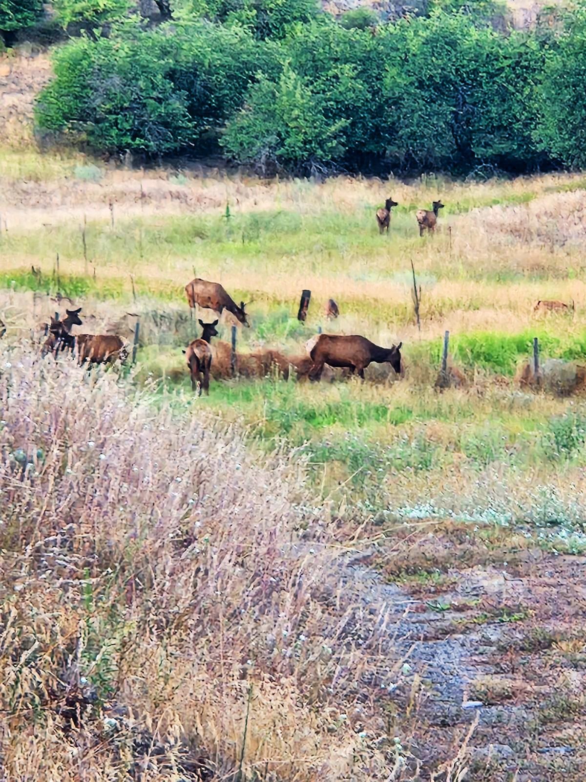 1436 Dead Medicine Road Evans, WA 99126 - Photo 41 of 42