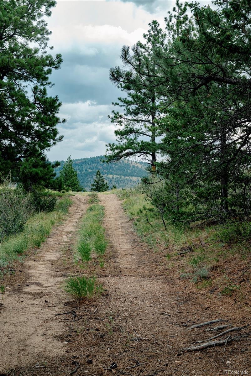 0 Hidden Wilderness Road Idaho Springs, CO 80452 - Photo 8 of 21 Gallery Image 8