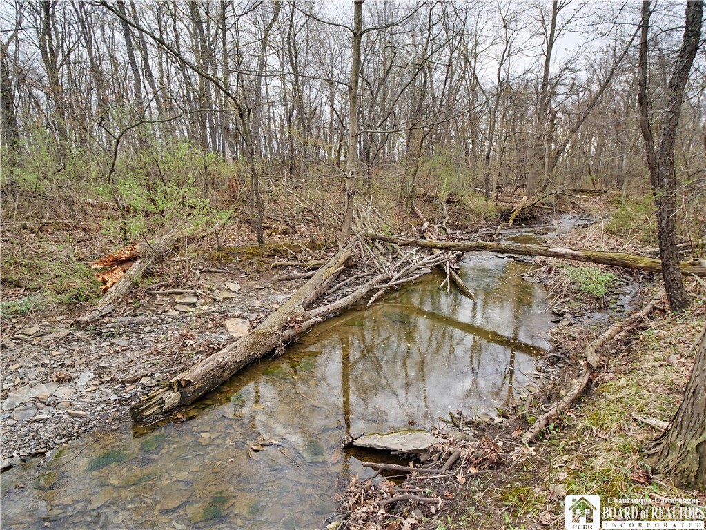 9668 Adams Road Pomfret, NY 14063 - Photo 35 of 38