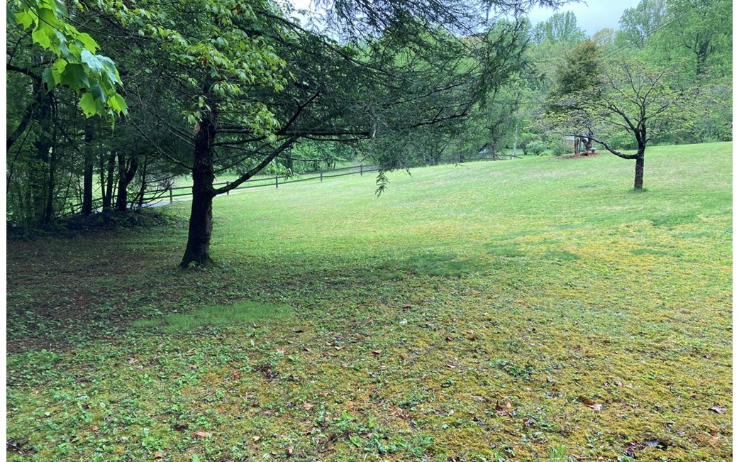 610 Cold Branch Road Hayesville, NC 28904 - Photo 20 of 49 Additional View