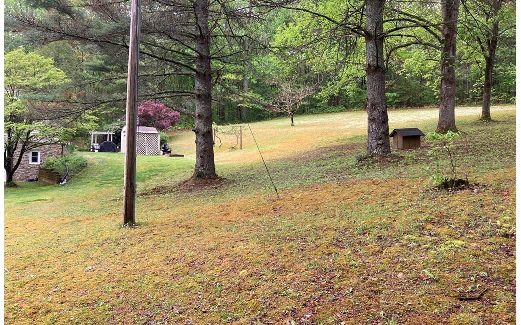 610 Cold Branch Road Hayesville, NC 28904 - Photo 21 of 49 Additional View