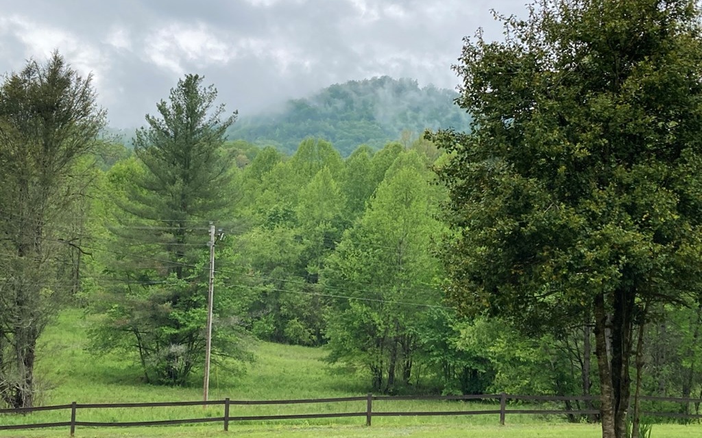 610 Cold Branch Road Hayesville, NC 28904 - Photo 4 of 49 Additional View