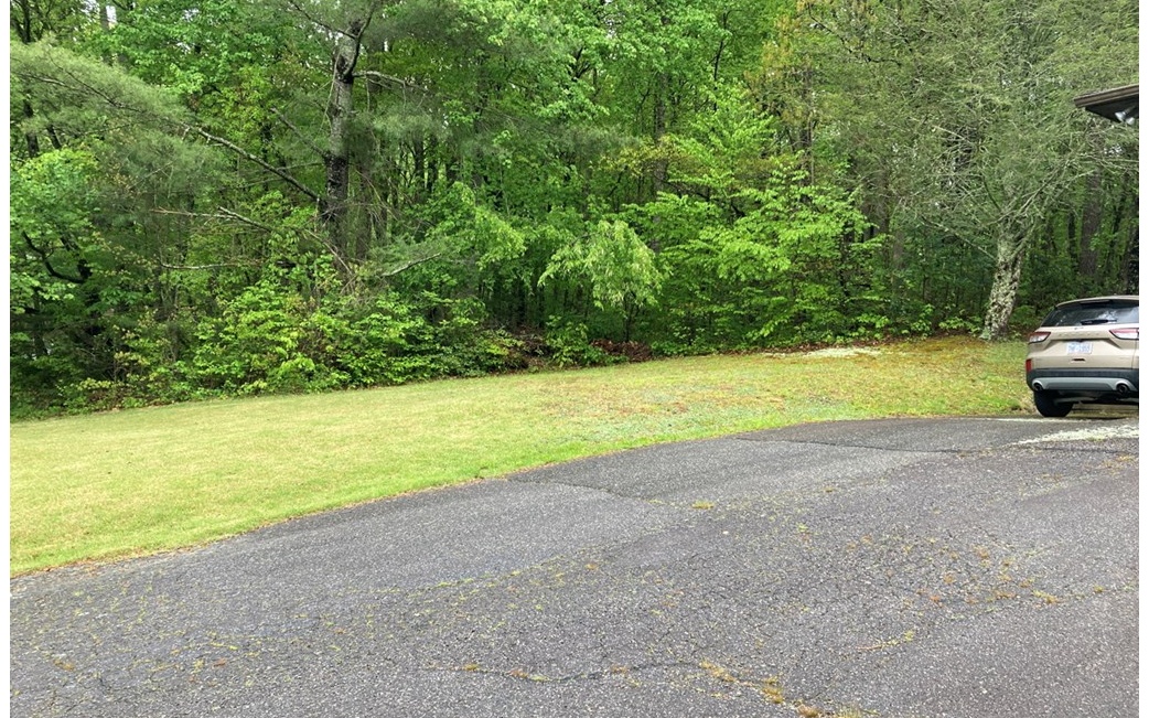 610 Cold Branch Road Hayesville, NC 28904 - Photo 49 of 49 Additional View
