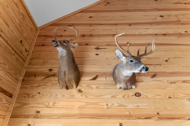 $949,000 | 1085 Tobacco Road, St. Stephen, SC 29479