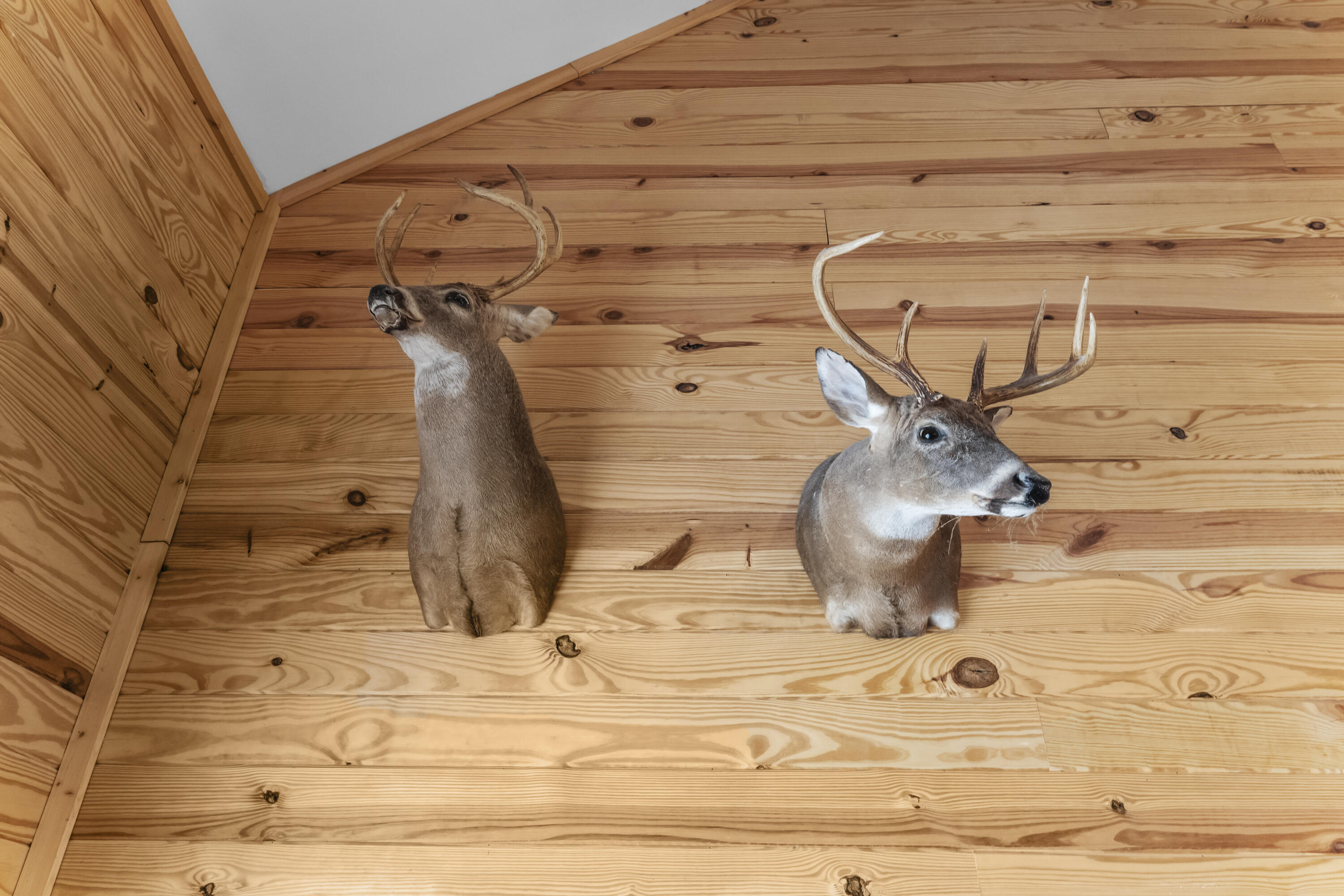 1085 Tobacco Road St. Stephen, SC 29479 - Photo 10 of 45 853A704C-050F-4A76-A402-E7A9851E911A