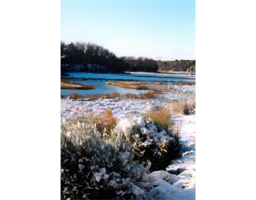 120 Old Dam Road Bourne, MA 02532 - Photo 21 of 22