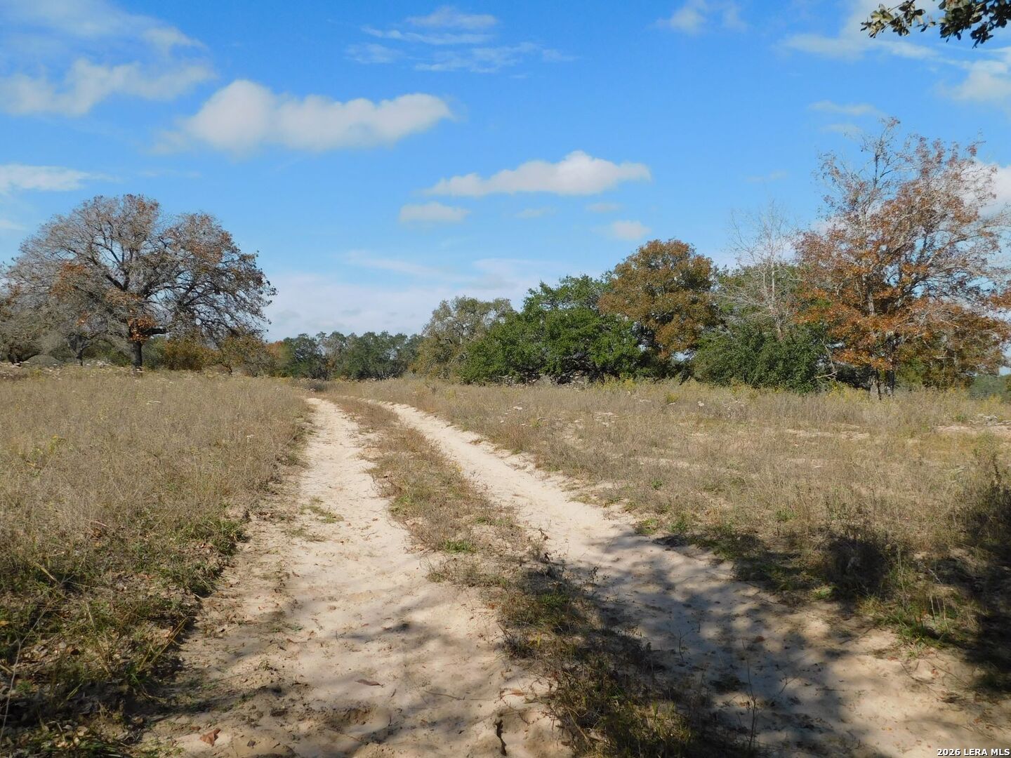 Tbd Tbd Encino Way Natalia, TX 78059 - Photo 2 of 6