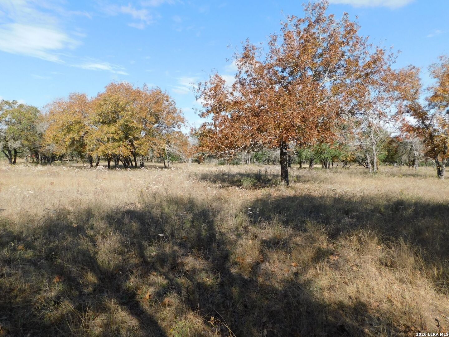 Tbd Tbd Encino Way Natalia, TX 78059 - Photo 3 of 6