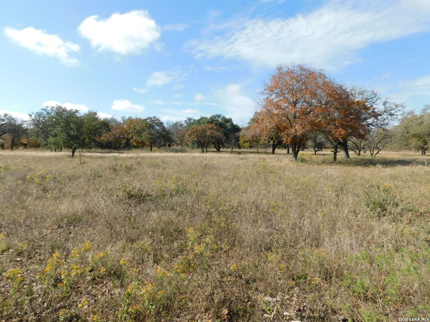 Tbd Tbd Encino Way Natalia, TX 78059 - Photo 4 of 6