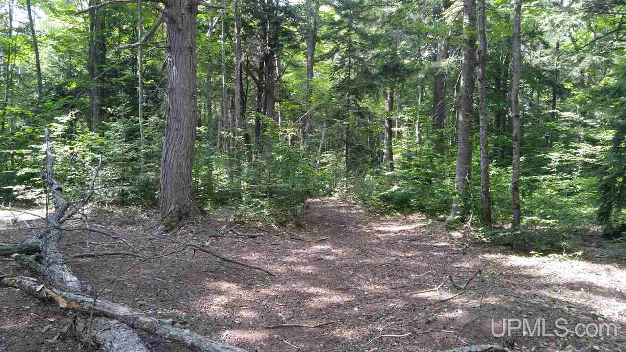33-acres Sigar Camp Road Seney, MI 49883 - Photo 11 of 22