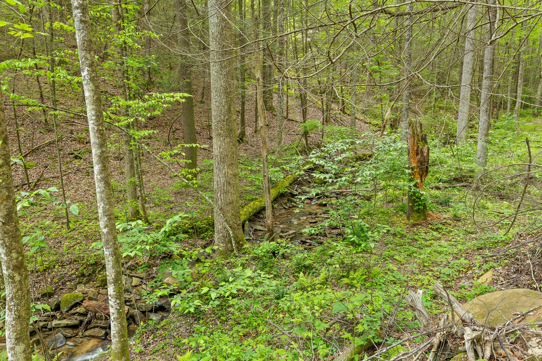 0 Dandy Road, Unit LOT 13 & 14 Signal Mountain, TN 37377 - Photo 34 of 40 26-Dandy-26