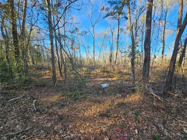 a view of backyard with green space