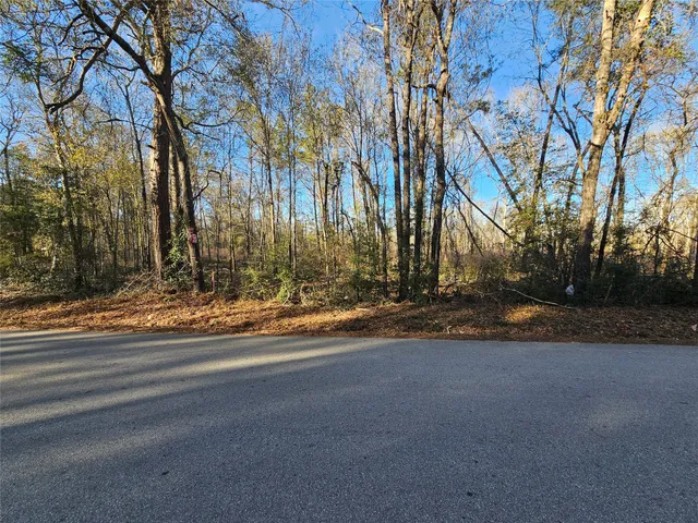 a view of road and trees