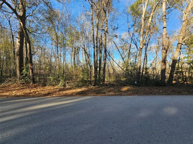 a view of road with yard