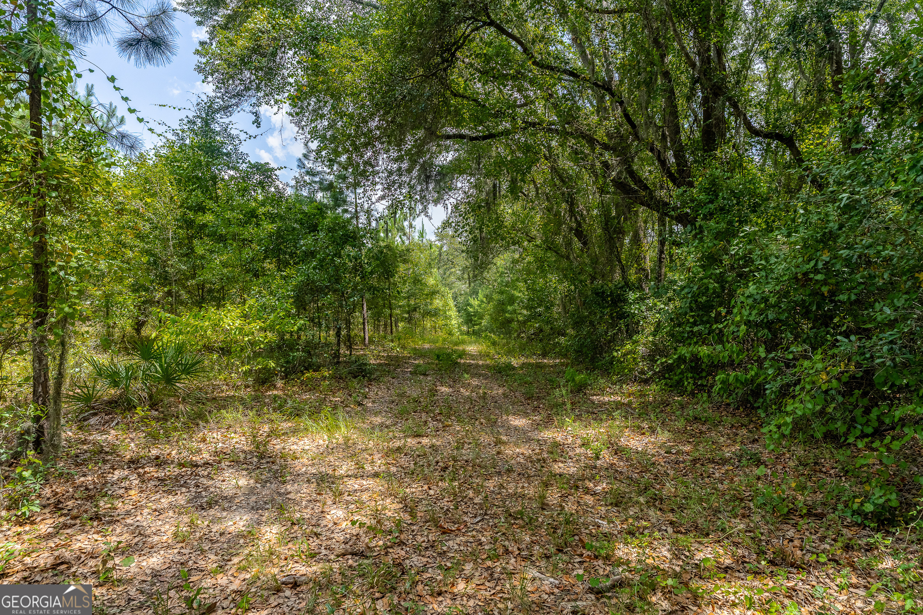 0 Nesbitt Road Jesup, GA 31545 - Photo 28 of 35 Gallery Image 28
