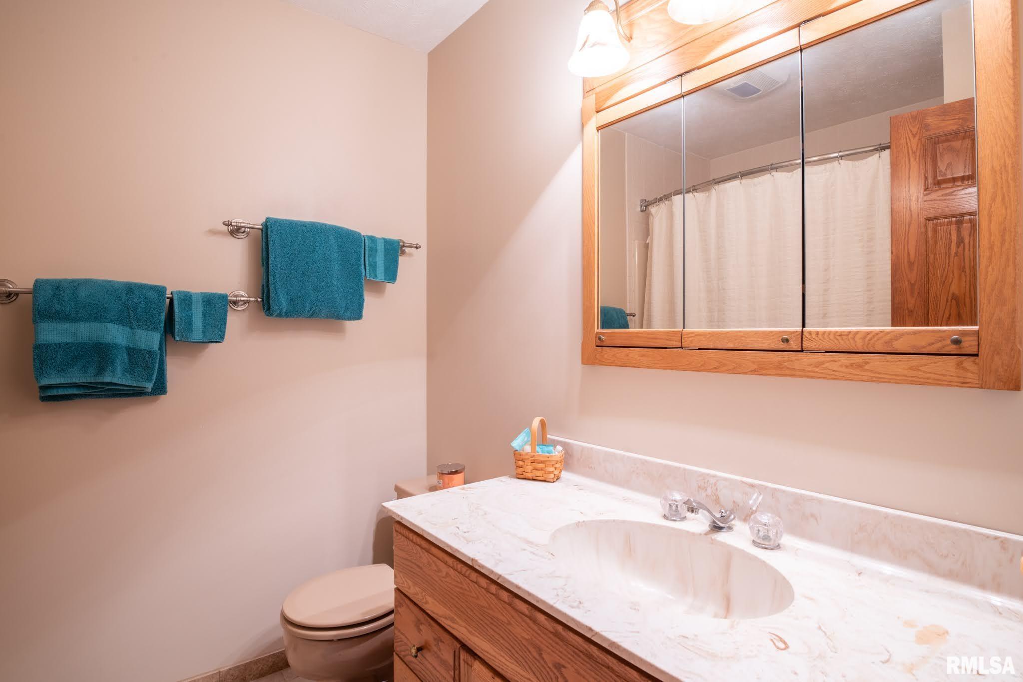 480 Oak Point Road Metamora, IL 61548 - Photo 39 of 53 Gallery Image 39