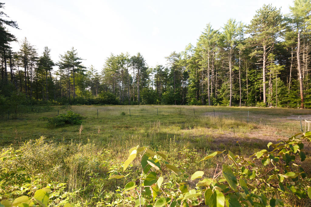 34 Coyne Road Waterboro, ME 04087 - Photo 18 of 24 IMG_1545