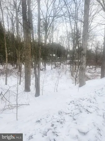 a view of snow on the road