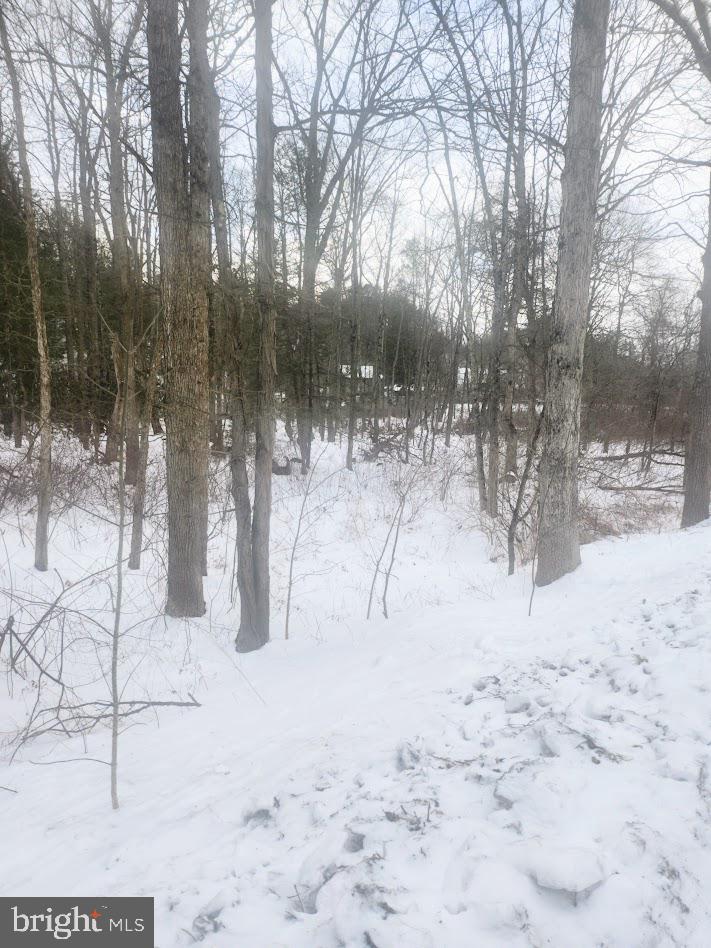 Brush Creek Road Breezewood, PA 15533 - Photo 1 of 7 a view of snow on the road
