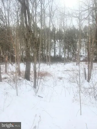 a view of covered with snow in the background