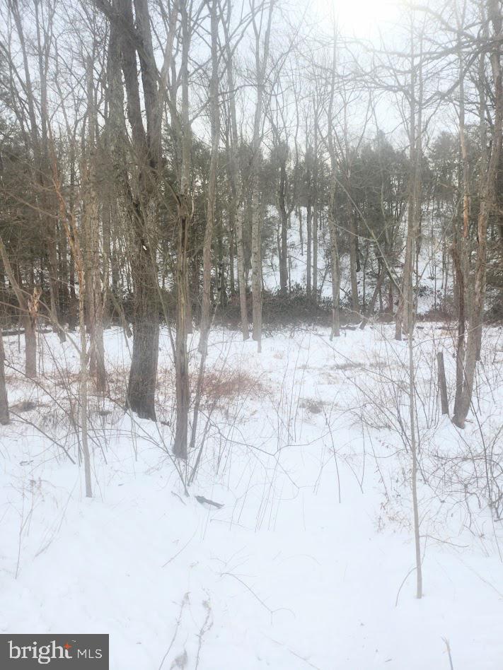 Brush Creek Road Breezewood, PA 15533 - Photo 2 of 7 a view of covered with snow in the background
