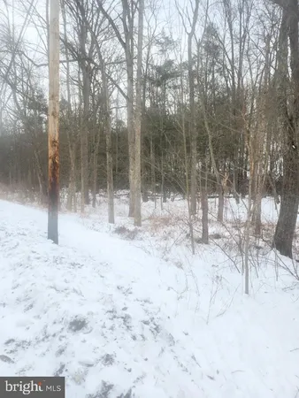 a view of outdoor space with trees