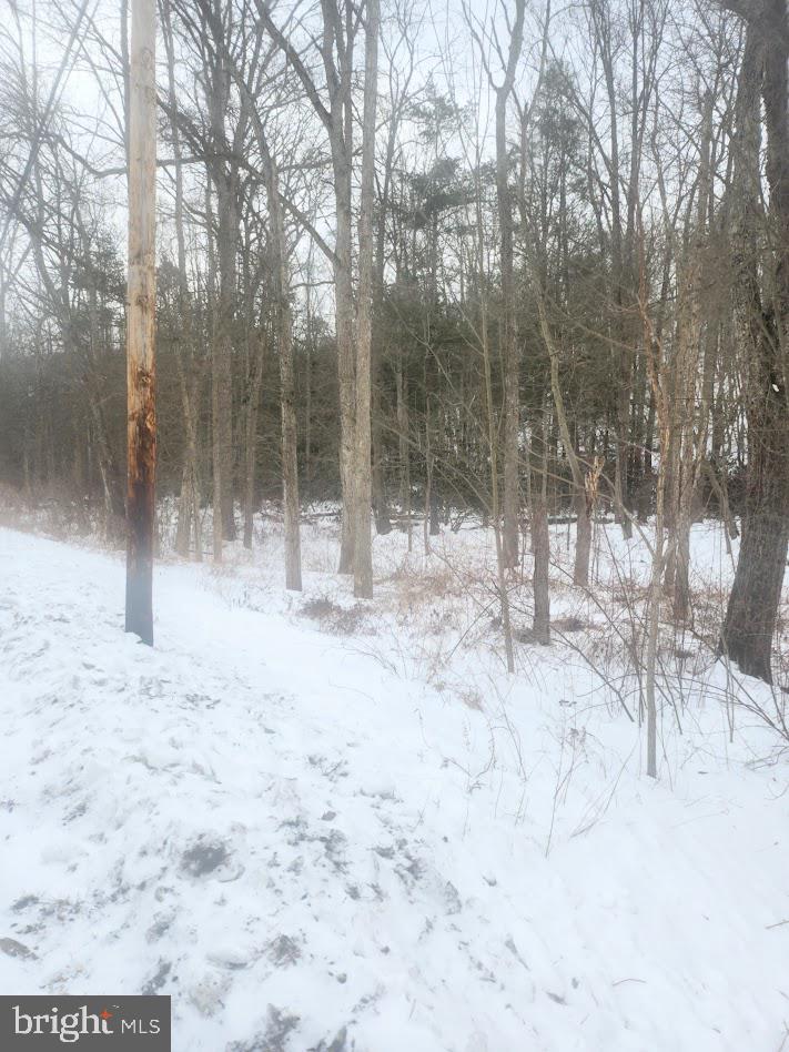 Brush Creek Road Breezewood, PA 15533 - Photo 3 of 7 a view of outdoor space with trees