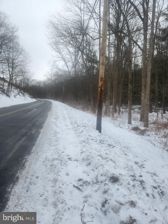 Brush Creek Road Breezewood, PA 15533 - Photo 4 of 7 a view of a yard covered with snow