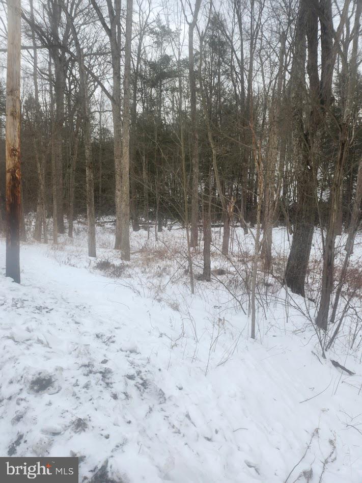 Brush Creek Road Breezewood, PA 15533 - Photo 5 of 7 a view of outdoor space with sitting area