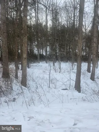 a view of a yard covered with snow