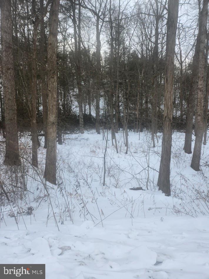 Brush Creek Road Breezewood, PA 15533 - Photo 6 of 7 a view of a yard covered with snow