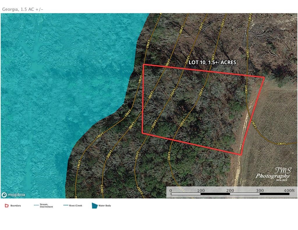 Lot 5 County Line Road Georgetown, GA 39854 - Photo 8 of 8